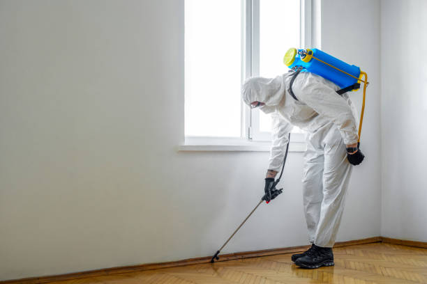 Best Wildlife Control Services  in Akron, CO